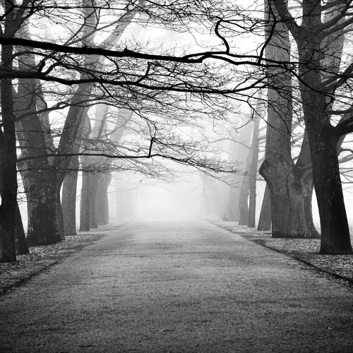 Beyond The Mysteries (by Frozen Lab)