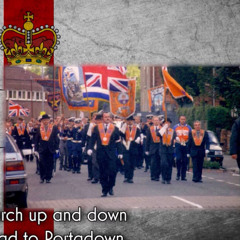 Bold Orange Heroes Of Comber