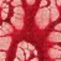 cold season (prod. $lxwOMG)