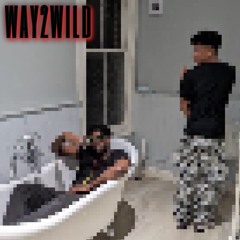 way2wild (prod.Zoowe)