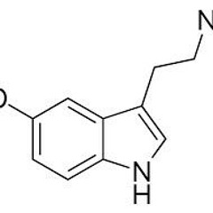 SEROTONIN