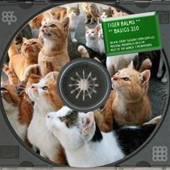 Basics Radio Show 310 @ Megapolis 89.5 FM + Закрытое радио 06.04.2021