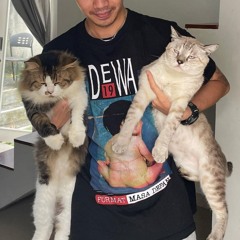 A Mix For Cats by Loreng