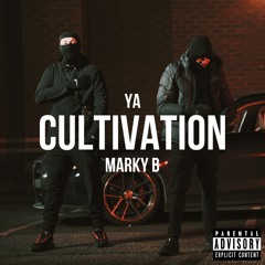 Cultivation