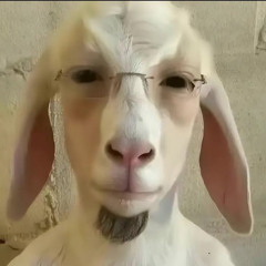 nvr change-bigguccibono [prod.jasonmiller]