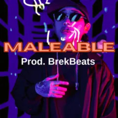 Maleable ( Gunna type beat x Key Glock type beat x Lil baby type beat )