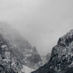 Field Journal Companion - Winter 2022/23