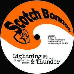Lightning & Thunder (Mungo's Hi Fi Remix)