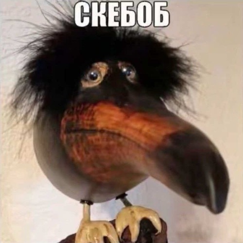 Skebob freestyle