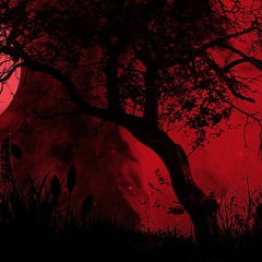 mybitchloveme (prod.mixedforeign)