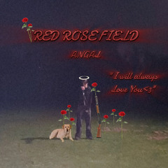Red Rose Field
