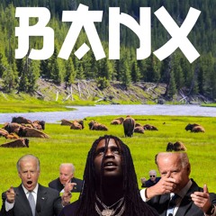 BANX - COMMANDER N' CHIEF [FREE DL]