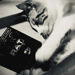 Oscillator Rituals