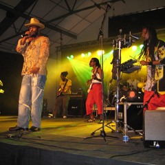 Monkeys In The Boat Yard