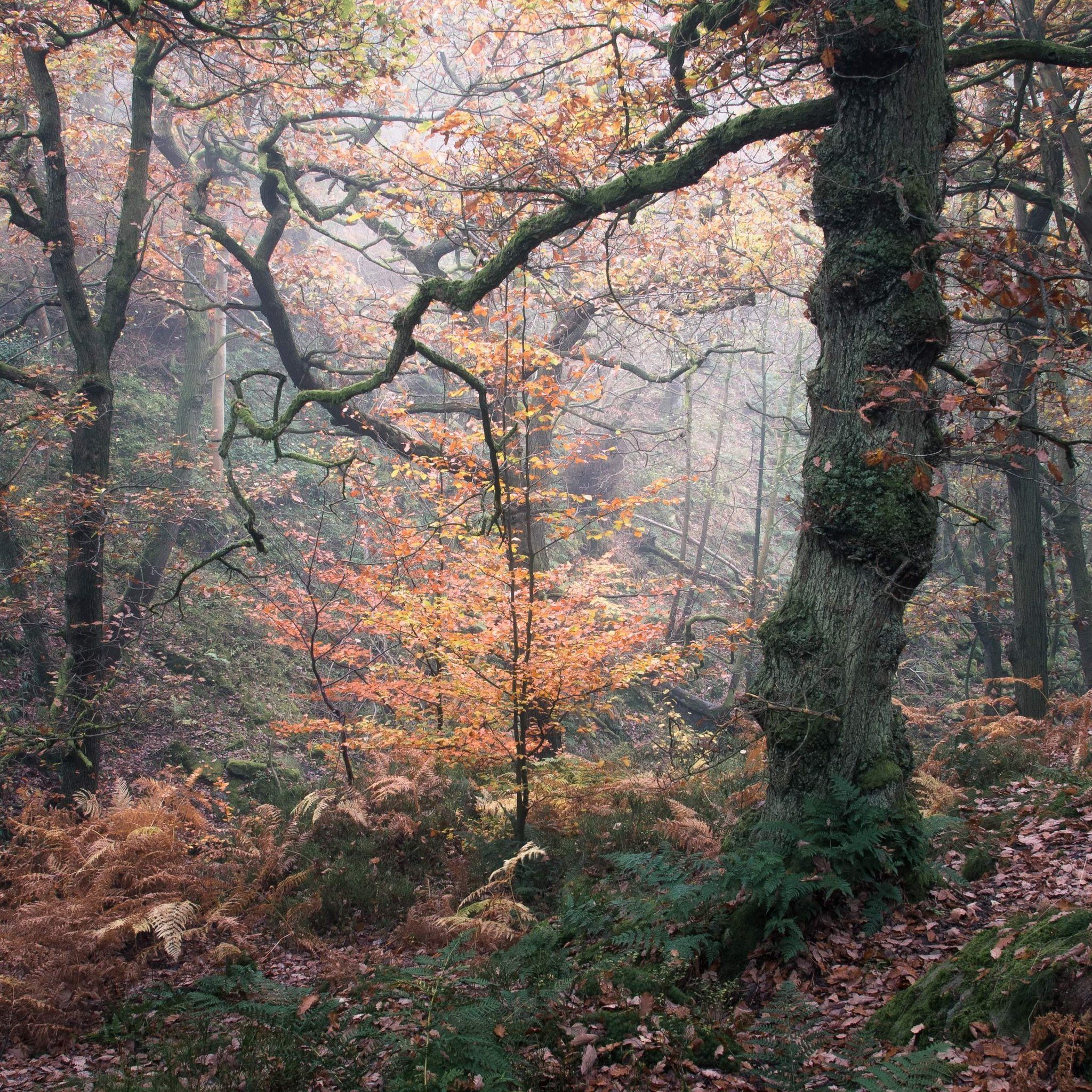 Deep Breakfast 181 – Martyn Päsch