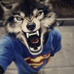 DATA404 + ARLEKIN 40000- LIT