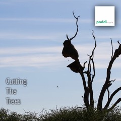 Cutting The Trees