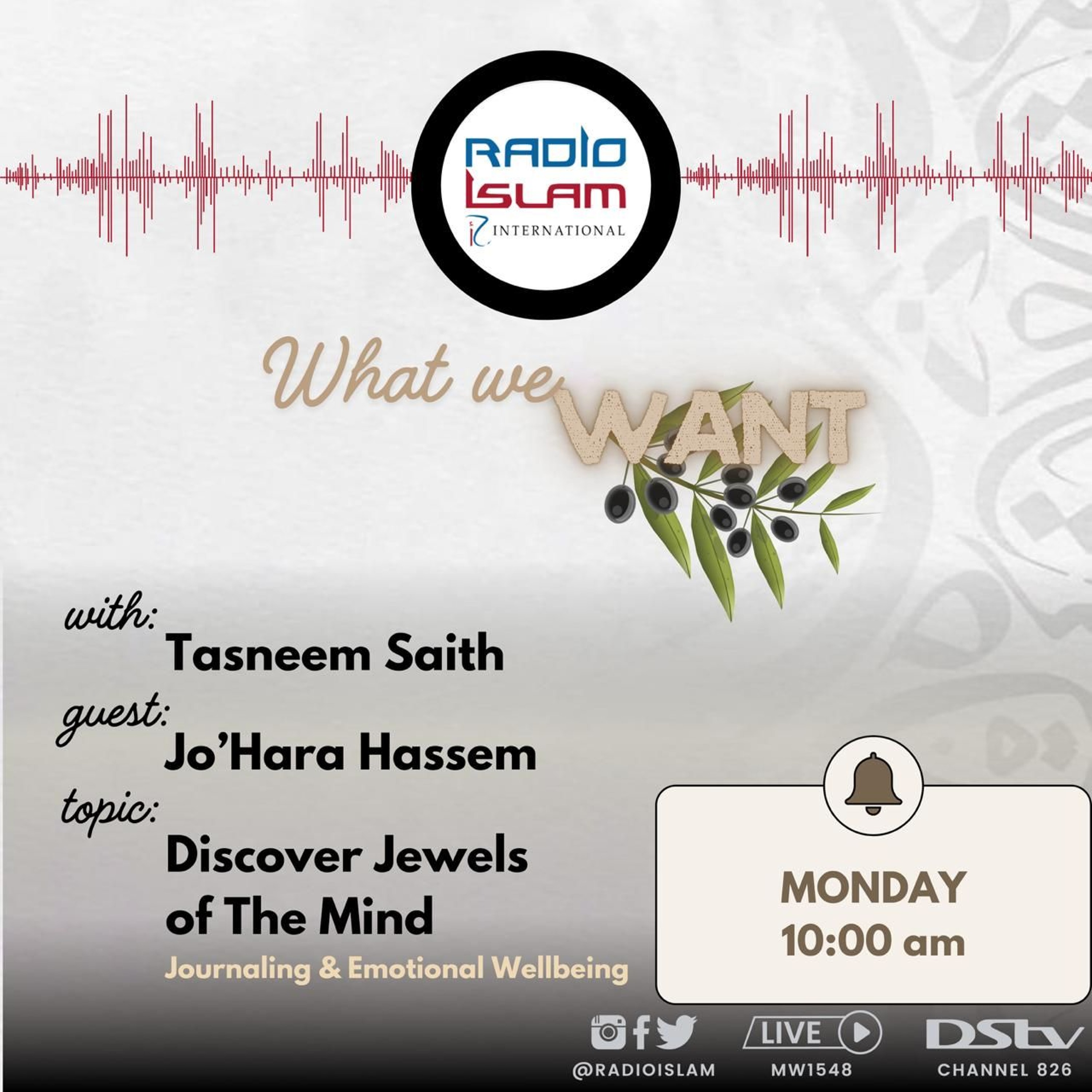 What We Want  - Discover Jewels of the Mind