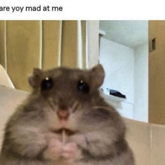 i dont wanna go home