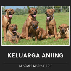 KELUARGA ANJING (ASACORE Mashup Edit) [Buy = Free Download]