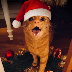 Smash My Cookies [Santatorium]