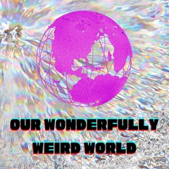 Our Wonderfully Weird World|A Turkey's Quinceañera|EP1