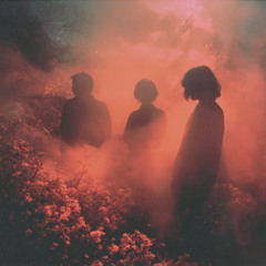 Velvet Dust