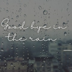 Goodbye in the Rain