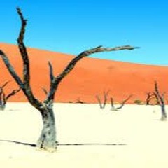 Pulsewith- Explicit(Original Mix)