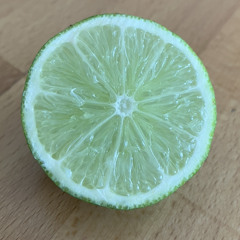 Building Up- Another Dilla-Type Beat (Champion Sound)