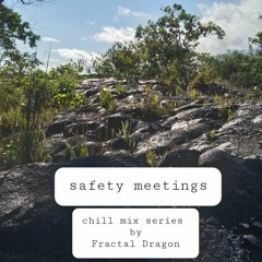 Safety Meeting #11 chill dank mix by fractal dragon