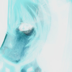 AYANAMI TRIP (Prod.antenna)