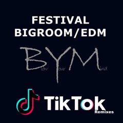 Festival Sound & Bigroom / EDM