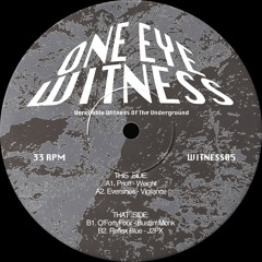 Eversines ─ Vigilance [WITNESS05]