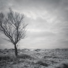 Memorandum VIII "Rondo from Heaven"