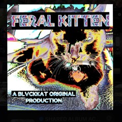 FERAL KITTEN [direct DL]