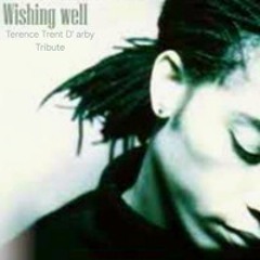 Wishing well - Terence Trent D´arby Tribute
