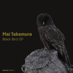 abend kollektiv 22 / Mai Takemura / Black Bird EP [snippets]