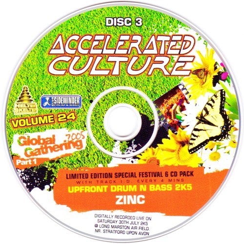 DJ Zinc @ Global Gathering, 30 July 2005