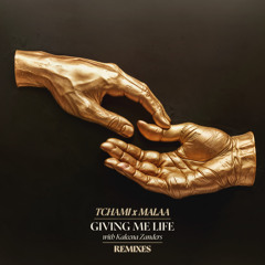 Giving Me Life (TS7 Remix) [feat. Kaleena Zanders]
