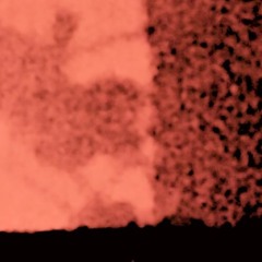 Senglar - Blow