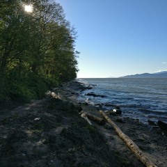 Can, Skewer, And Stump At Beach