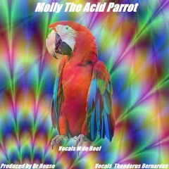Molly The Acid Parrot Dr House Vocals M De Boef & Theodorus Bernardus Buma stemra (experiment )