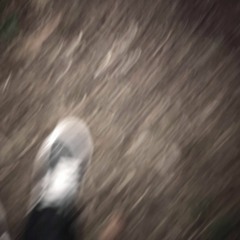 Nothing Left // Flowermouth Flip