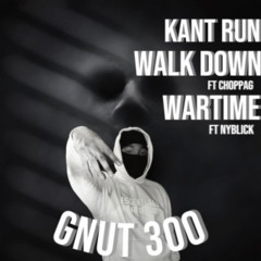 Wartime - gnut300 nyblick57