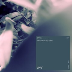 Bar.ba - Panorama (David Hasert & Lena Remix)