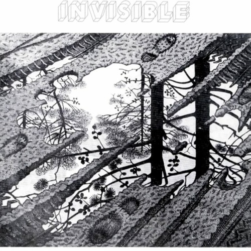 Stream Invisible - Invisible (álbum completo) 1974 by Don Tricoma | Listen  online for free on SoundCloud