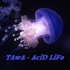 Tawa Girl - Acid Life (original Mix) free DL