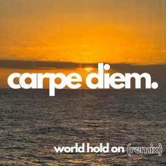 world hold on (remix)