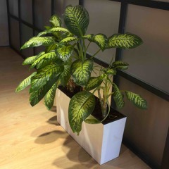 SLTAN - Escape [Snippet]